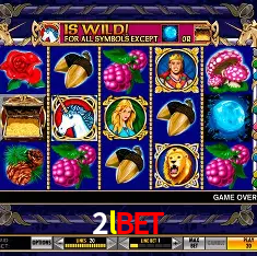 2lbet Rio de Janeiro - Bonus Terms